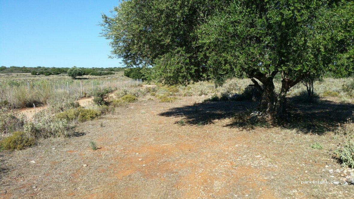 (281 00) Peratata - Unnamed Road — foto