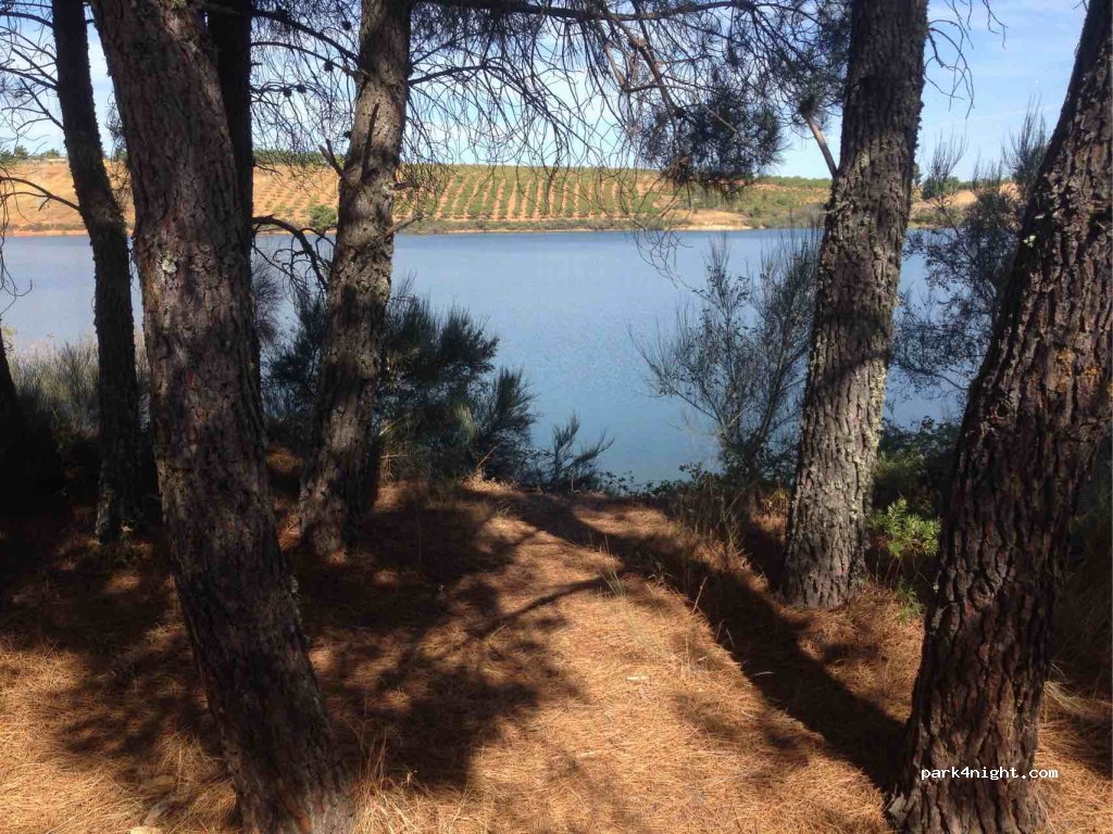 (5160) Ferrel - Unnamed Road — foto