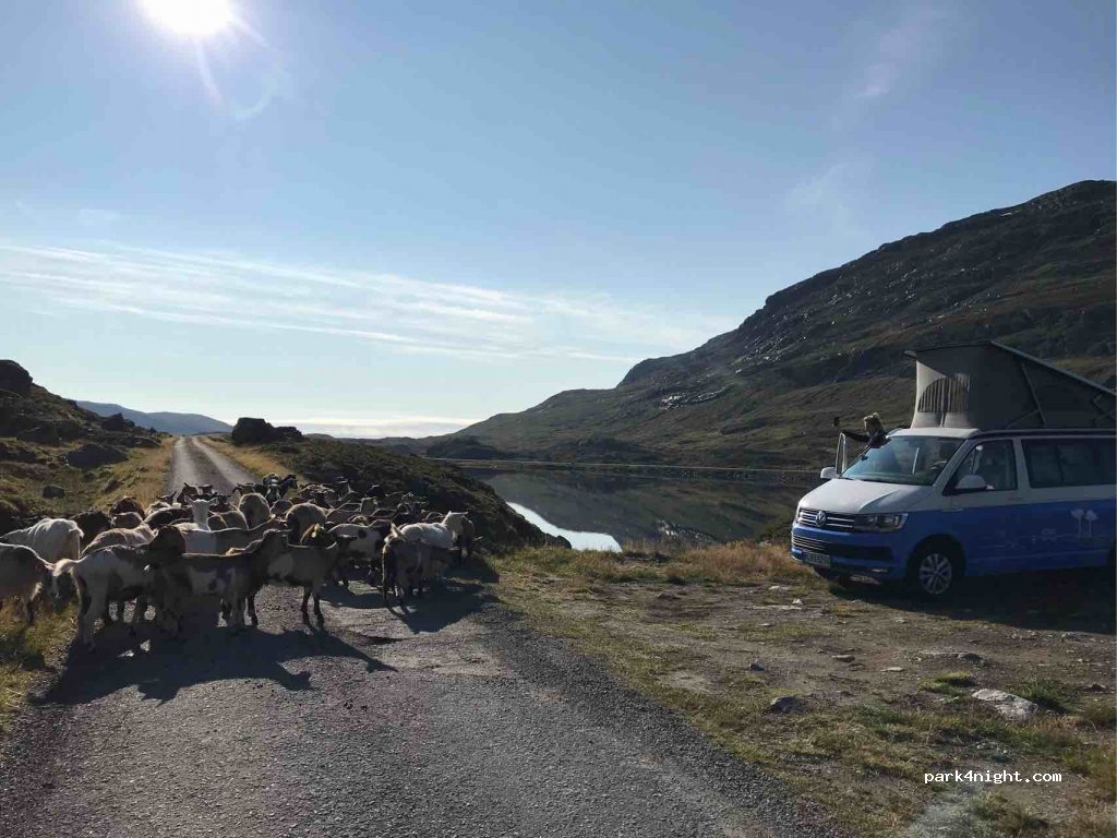 (5760) Odda - Unnamed Road — foto