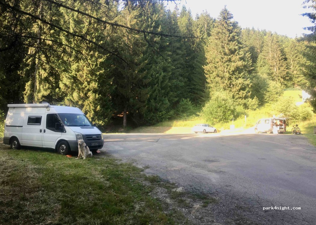 (74450) Saint-Jean-de-Sixt - Piste Forestière des Mouillés — foto