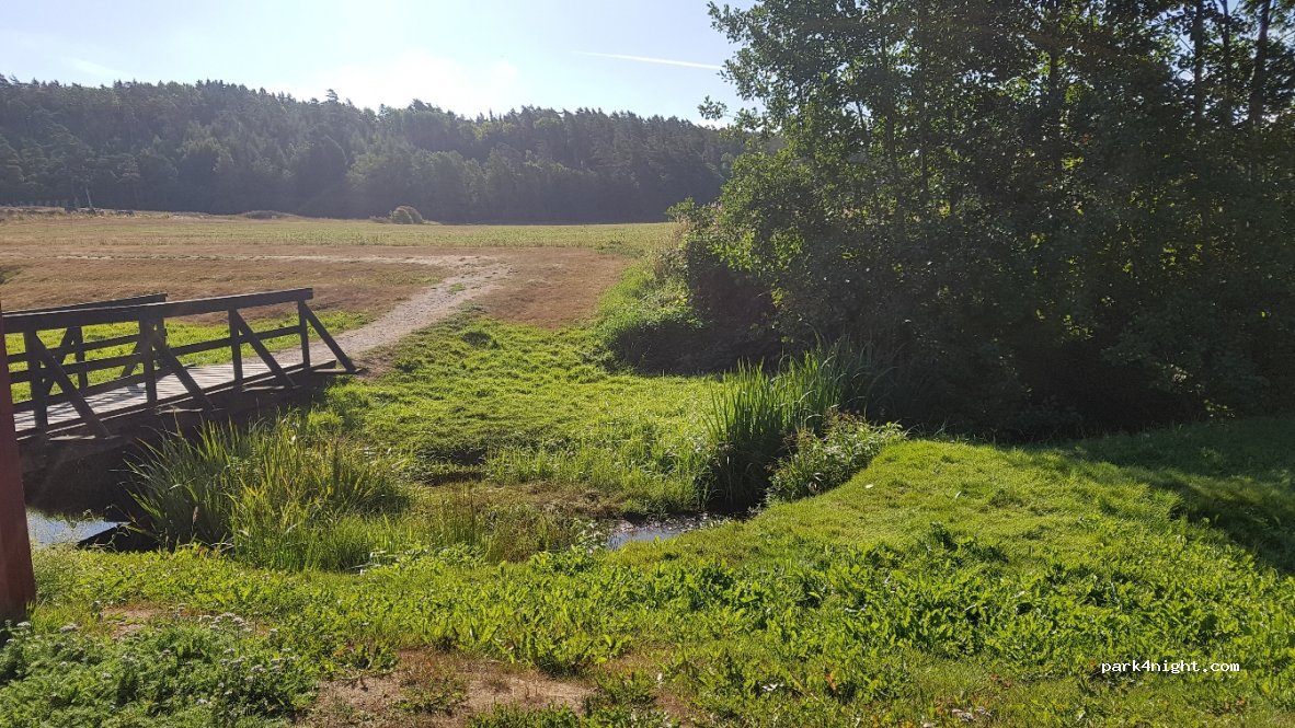 (452 92)  - 6 BLOMSHOLM — foto