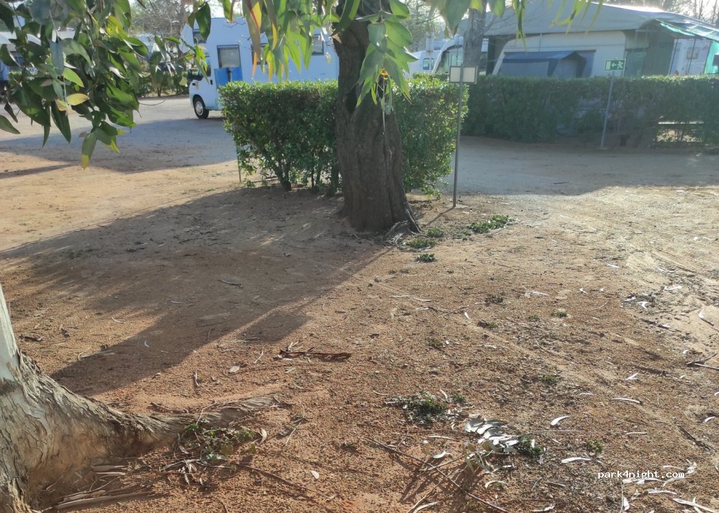 Camping Praia de Armação de Pêra — foto 2