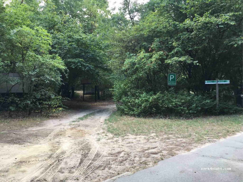 (29490) Neu Darchau - 7 Zwischen den Wegen — foto