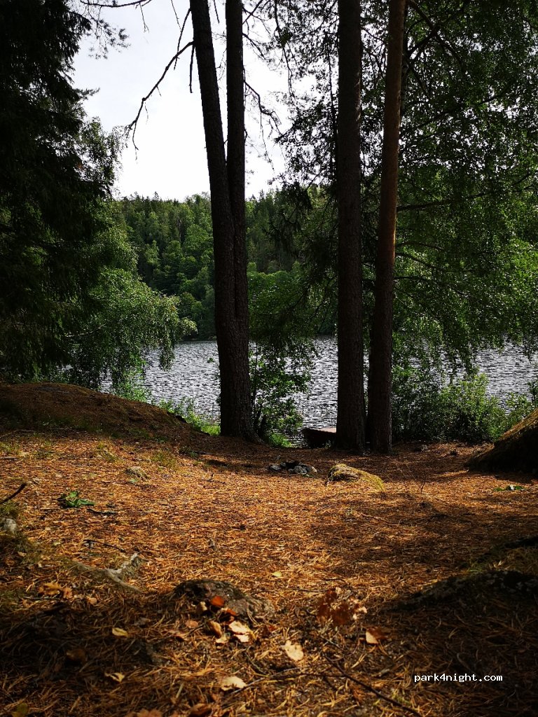 (3282) Kvelde - 19 Svartangveien — foto 2