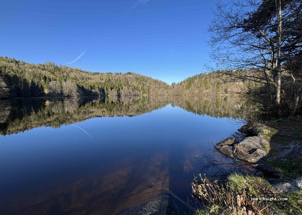 (3282) Kvelde - 19 Svartangveien — foto 4