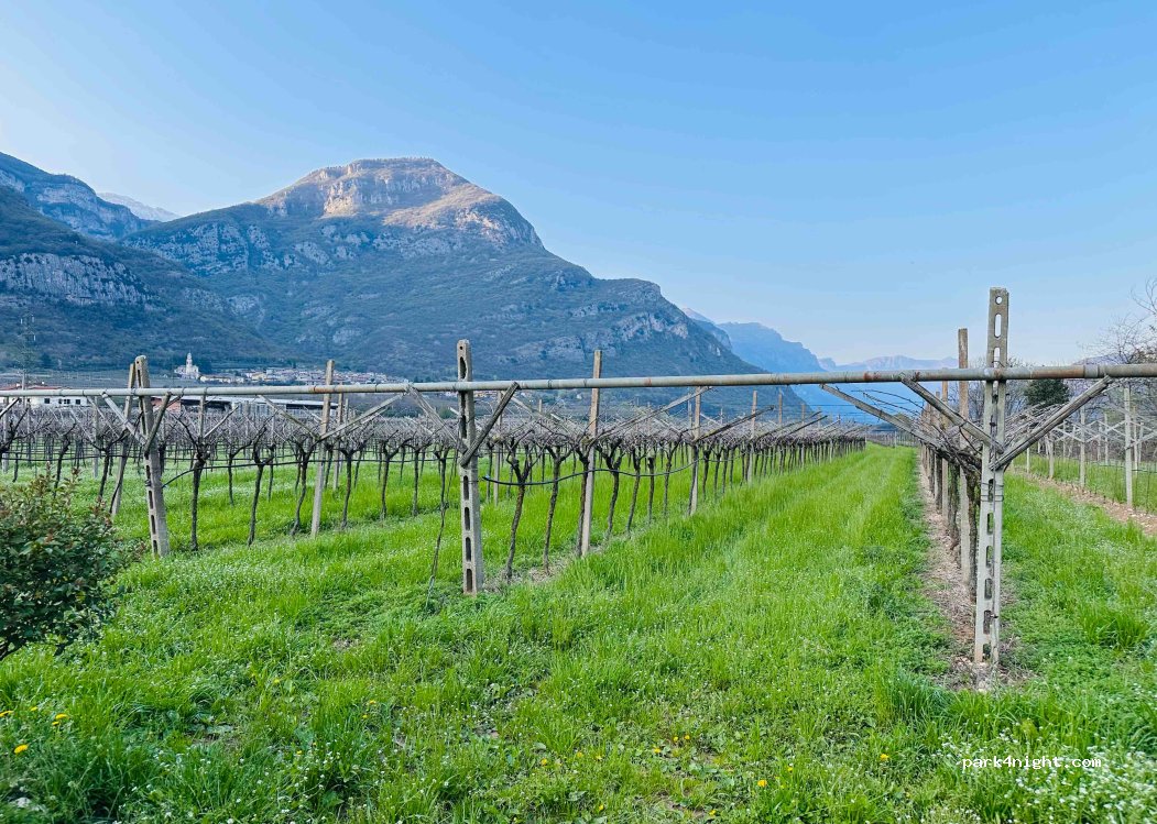 Revena Farm Guest House Wine Farm Holiday — foto 5
