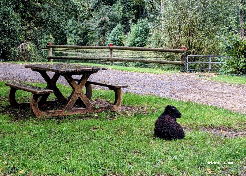 (85320) Moutiers-sur-le-Lay - 7 Chemin de la Balurie — foto 4