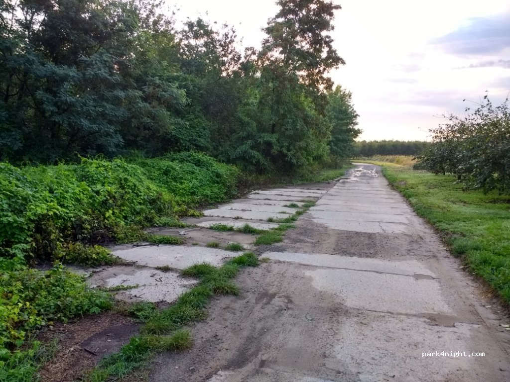 (27-641)  - Płyty — foto