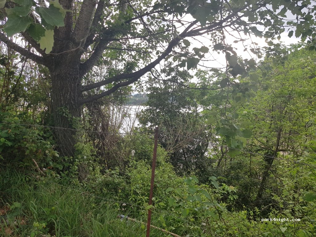 (6320) Portorož - 32 Pacug — foto