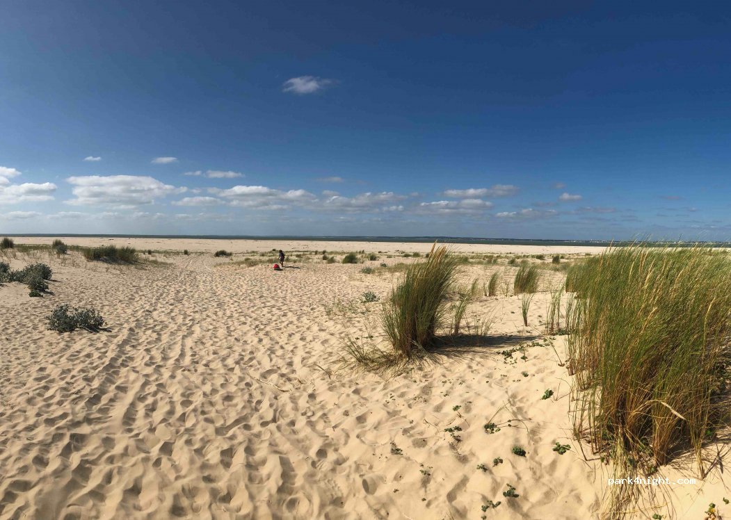 (33123) Le Verdon-sur-Mer - Unnamed Road — foto 4