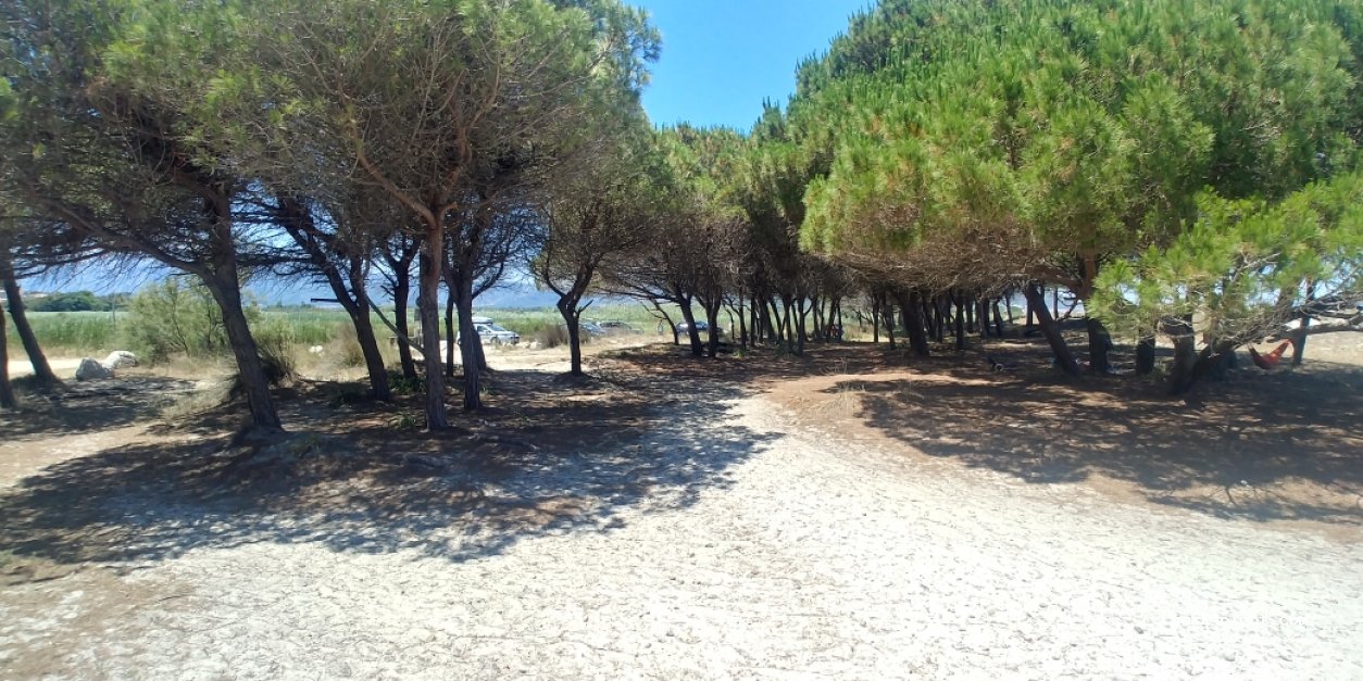 (08029) Iscra E Voes - Strada Statale 125 Orientale Sarda — foto 3