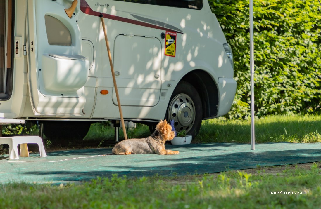 CAMPING LES PINS — foto 2