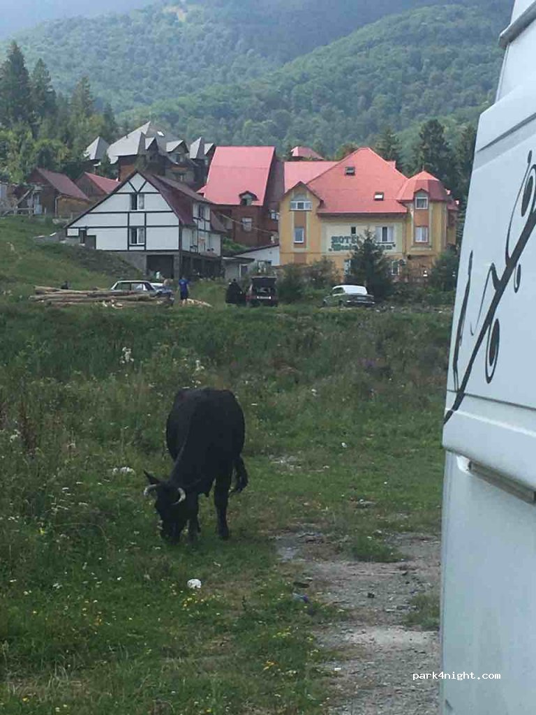 () Zakarpattia Oblast - Unnamed Road — foto 4