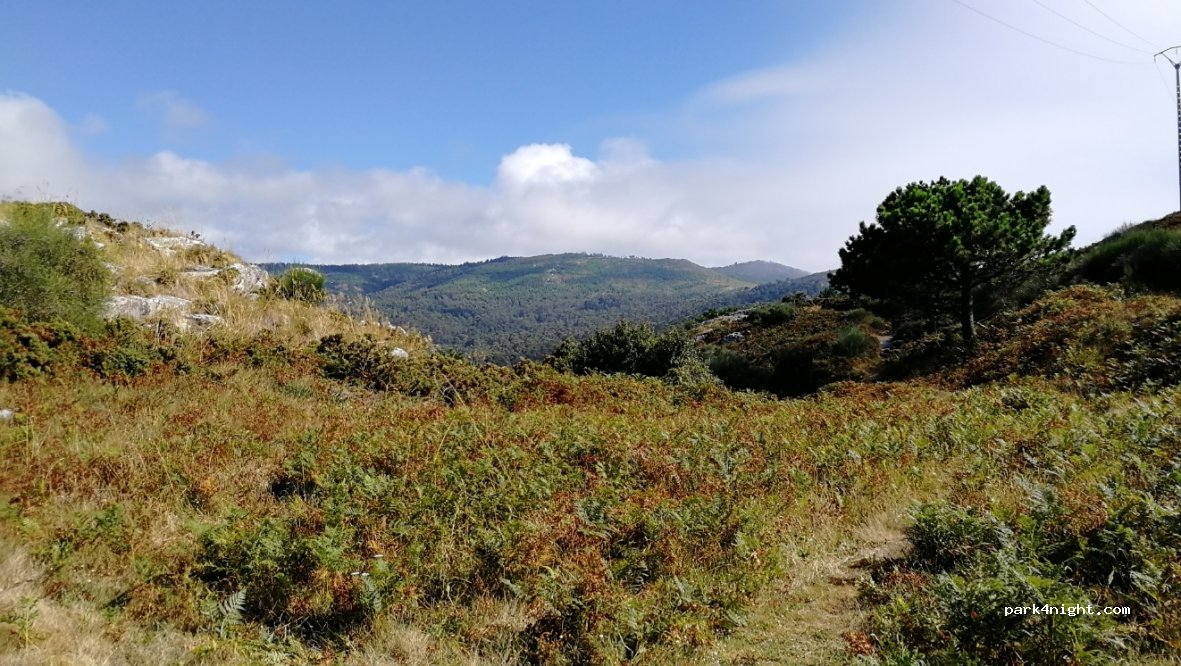 () Baiona - Estrada a Cabo Silleiro — foto