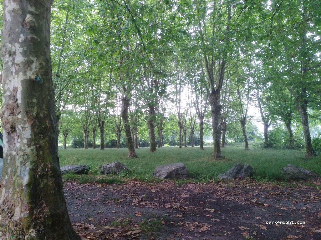 (64800) Igon - D35 — foto 2