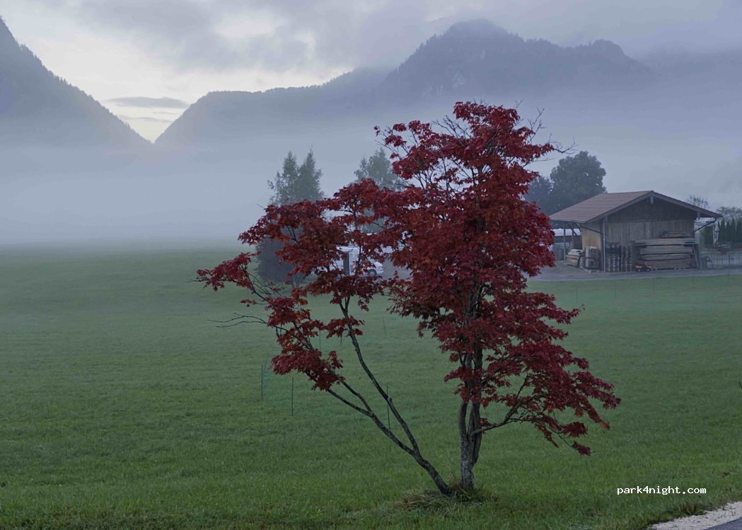 Camping Lindlbauer — foto 5