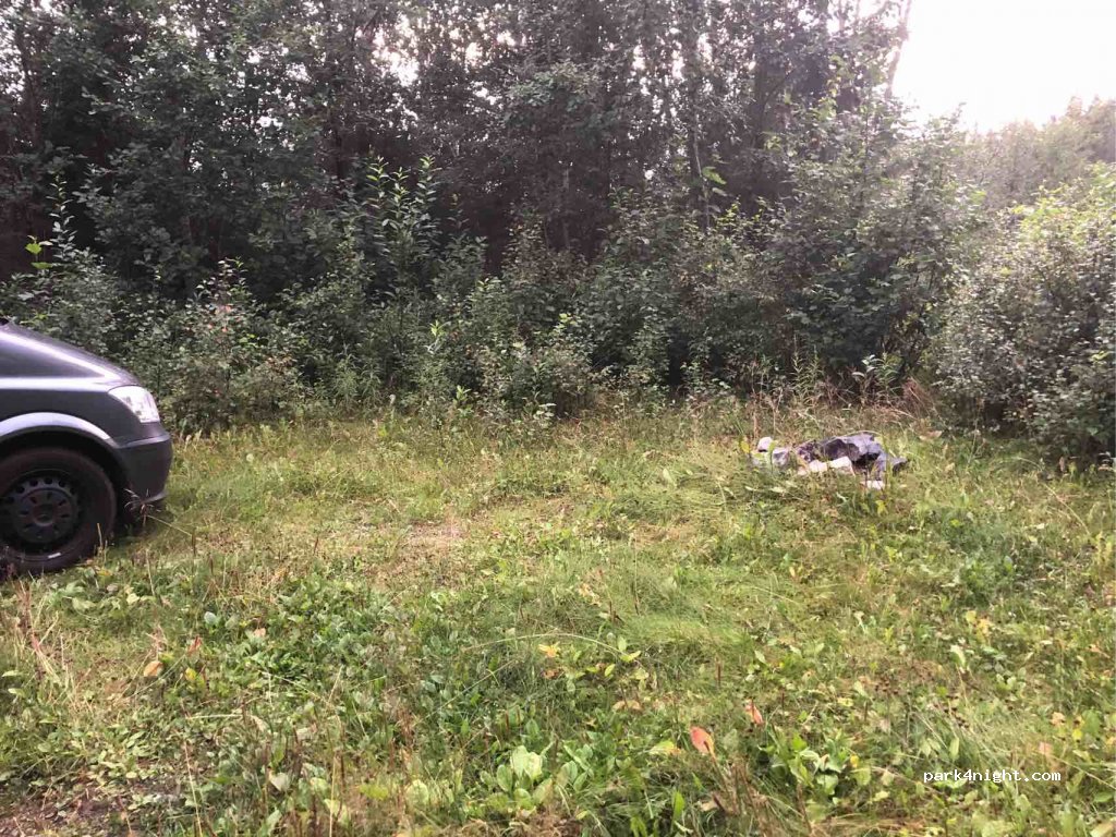 (7892)  - Tunnsjødalsveien — foto