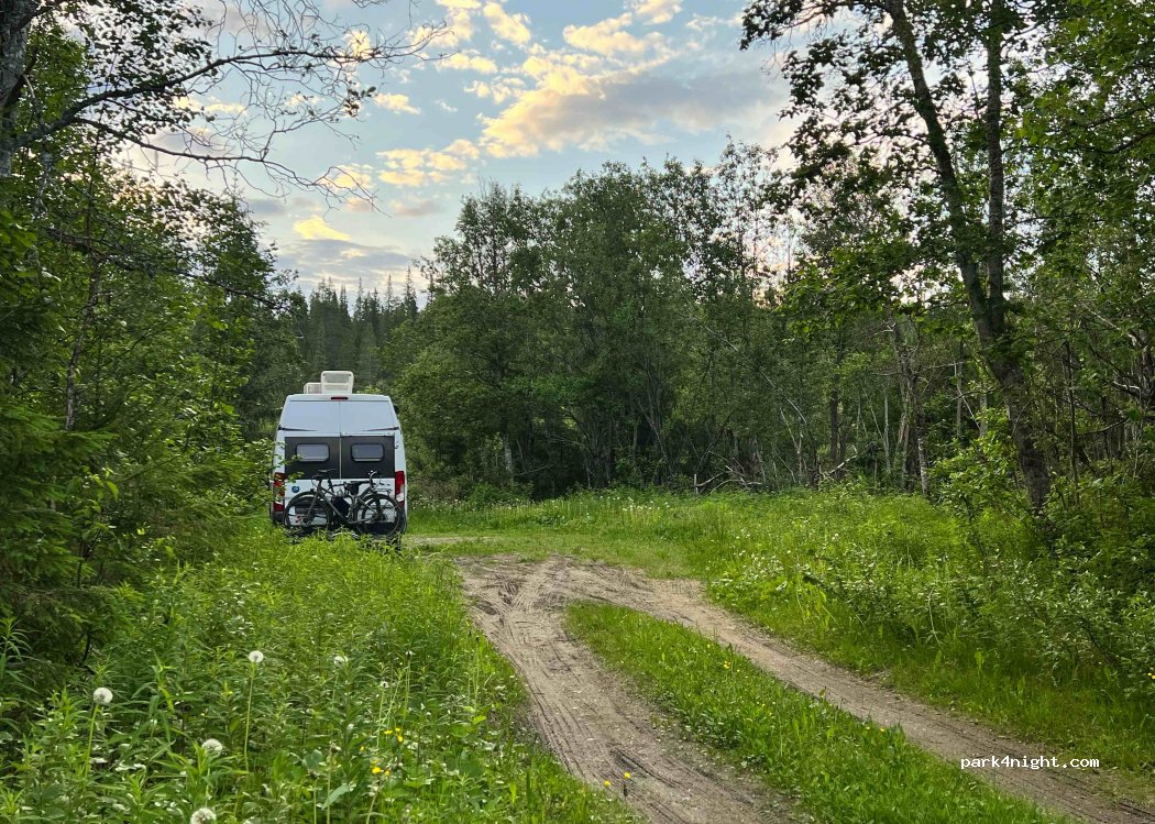 (7892)  - Tunnsjødalsveien — foto 2