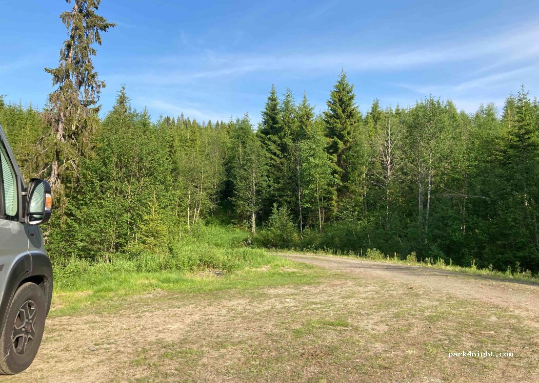 (7892)  - Tunnsjødalsveien — foto 3
