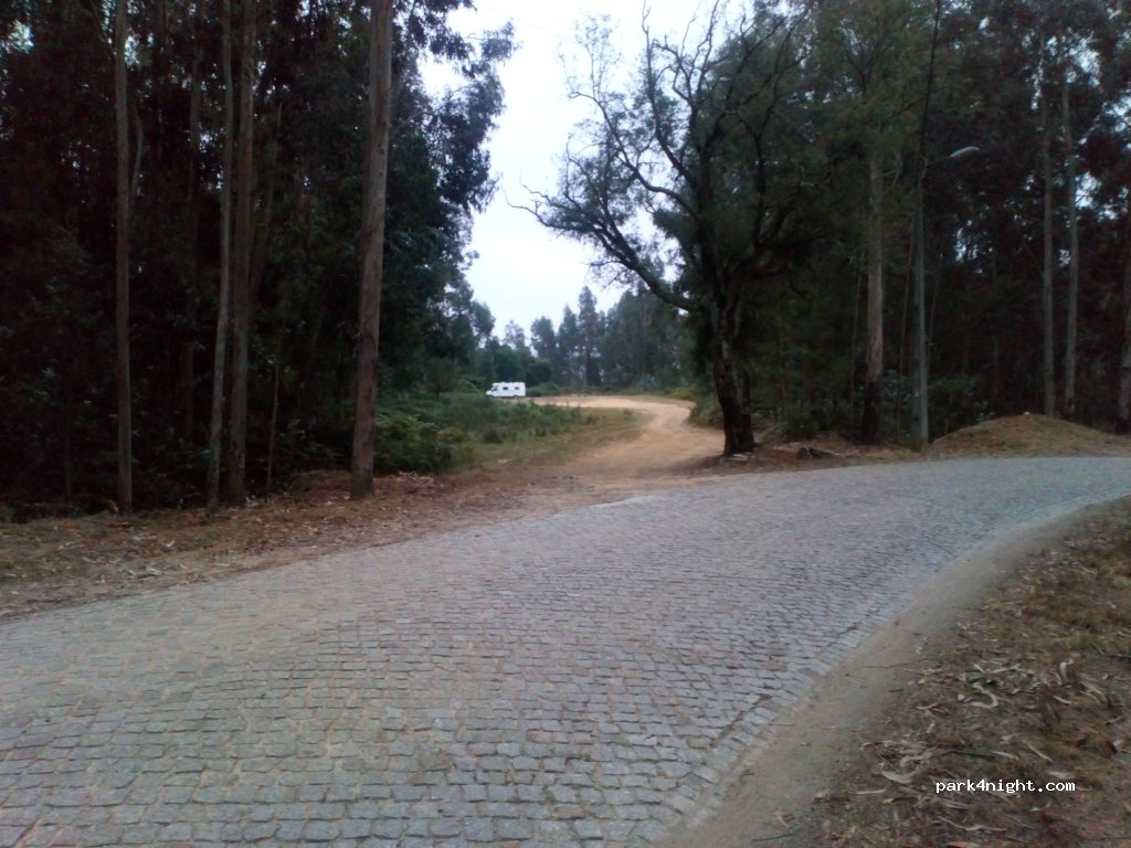 (4440) Valongo - Corredor Ecológico — foto 3