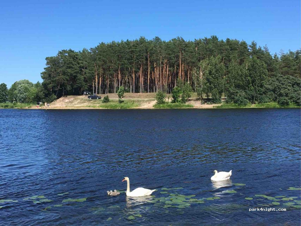 (2015) Jūrmala - 23 Brankciema iela — foto 2