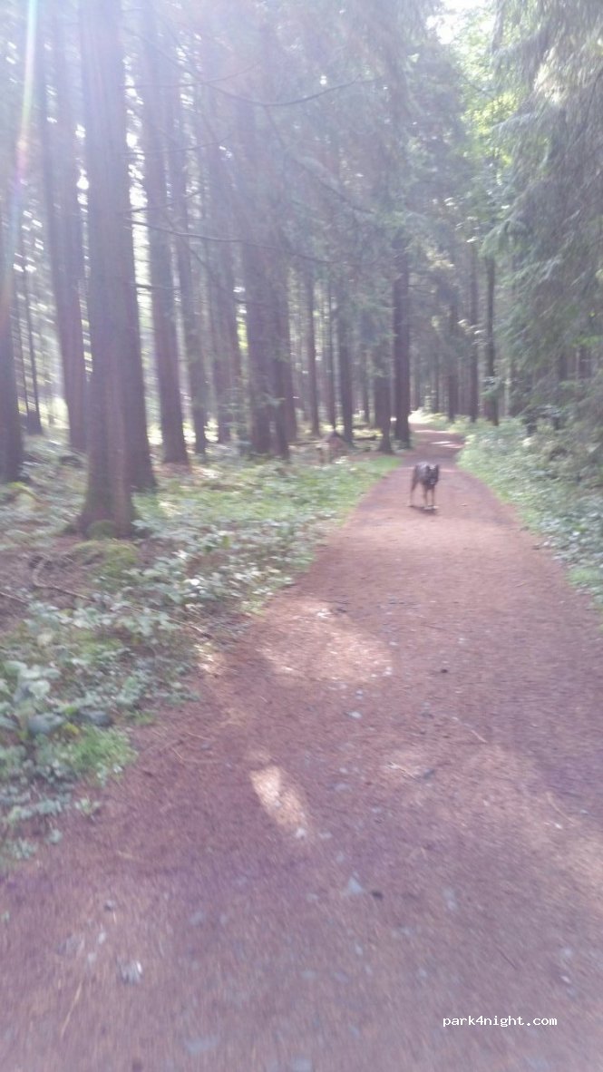(56470) Bad Marienberg (Westerwald) - 26 Wildparkstraße — foto
