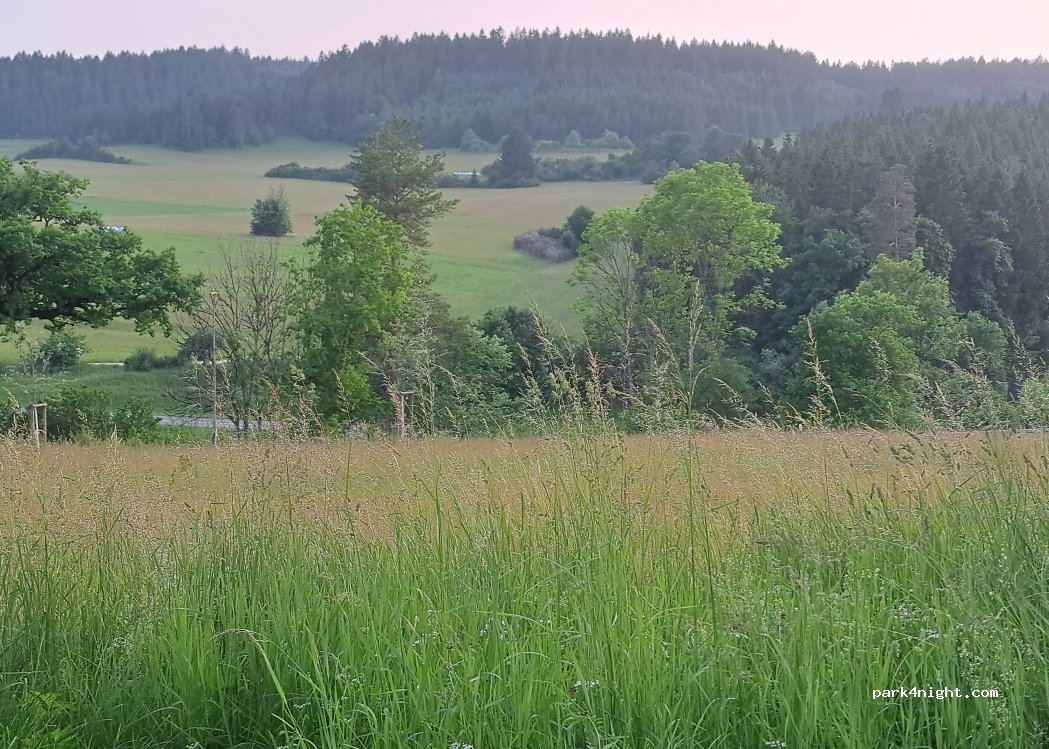 (78567) Fridingen an der Donau - L440 — foto