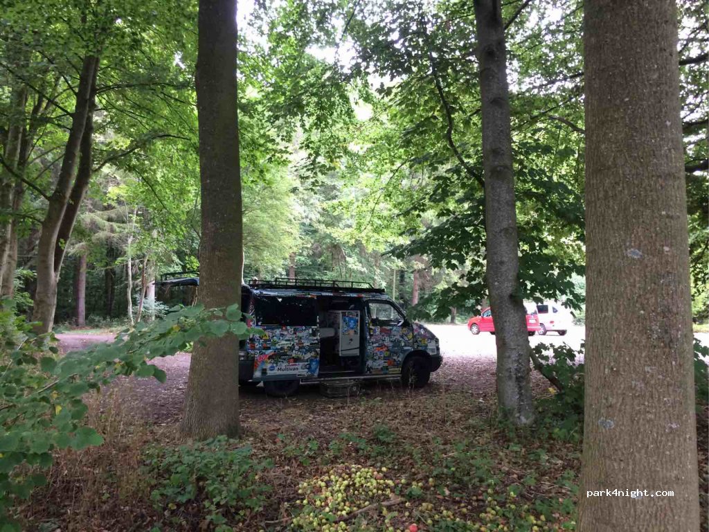 (24972) Steinberg - 5 Östergaard — foto 2