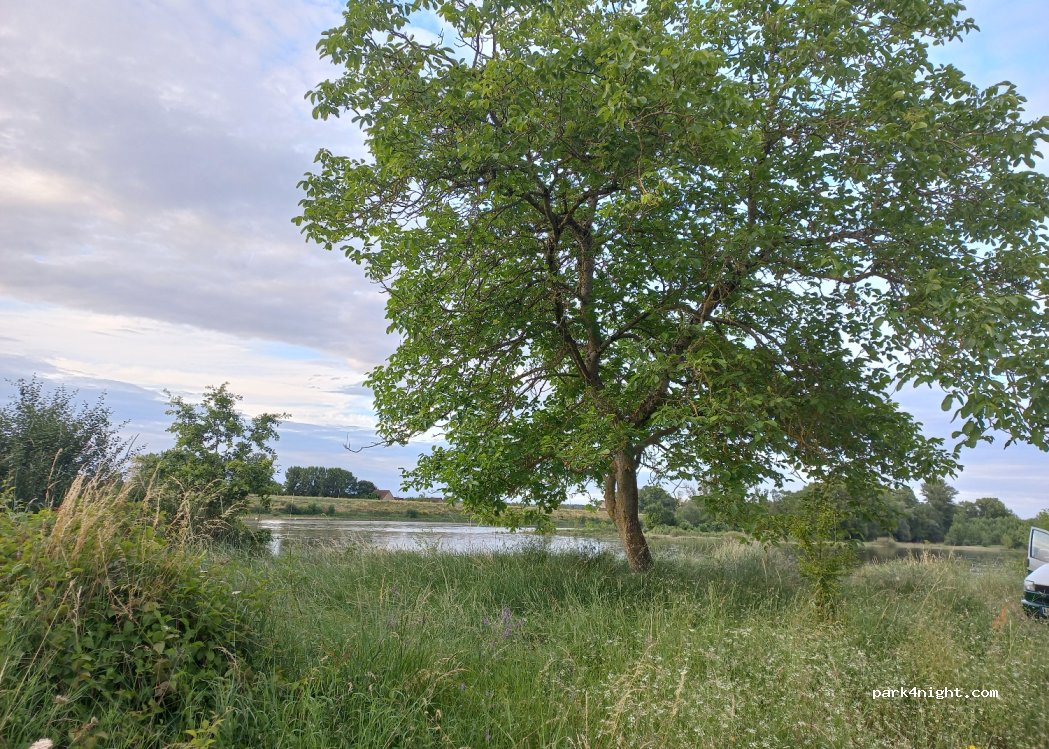 (37400) Lussault-sur-Loire - 27 Route de Tours — foto 4