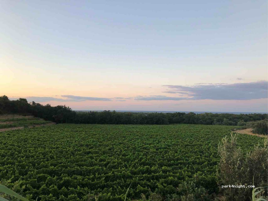 Camping Des Mimosas — foto 2