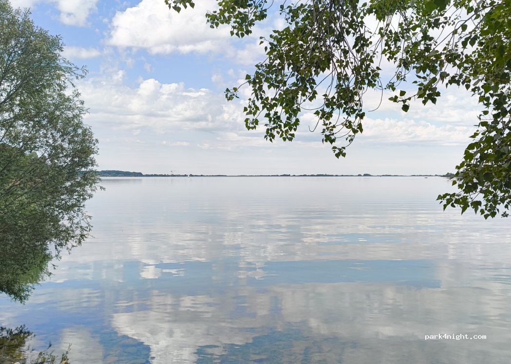(52290) Éclaron-Braucourt-Sainte-Livière - Forêt du Der Nord — foto 5