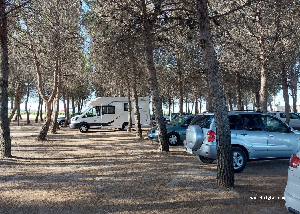 (45820) El Toboso - 3 Camino Belmonte — foto 4
