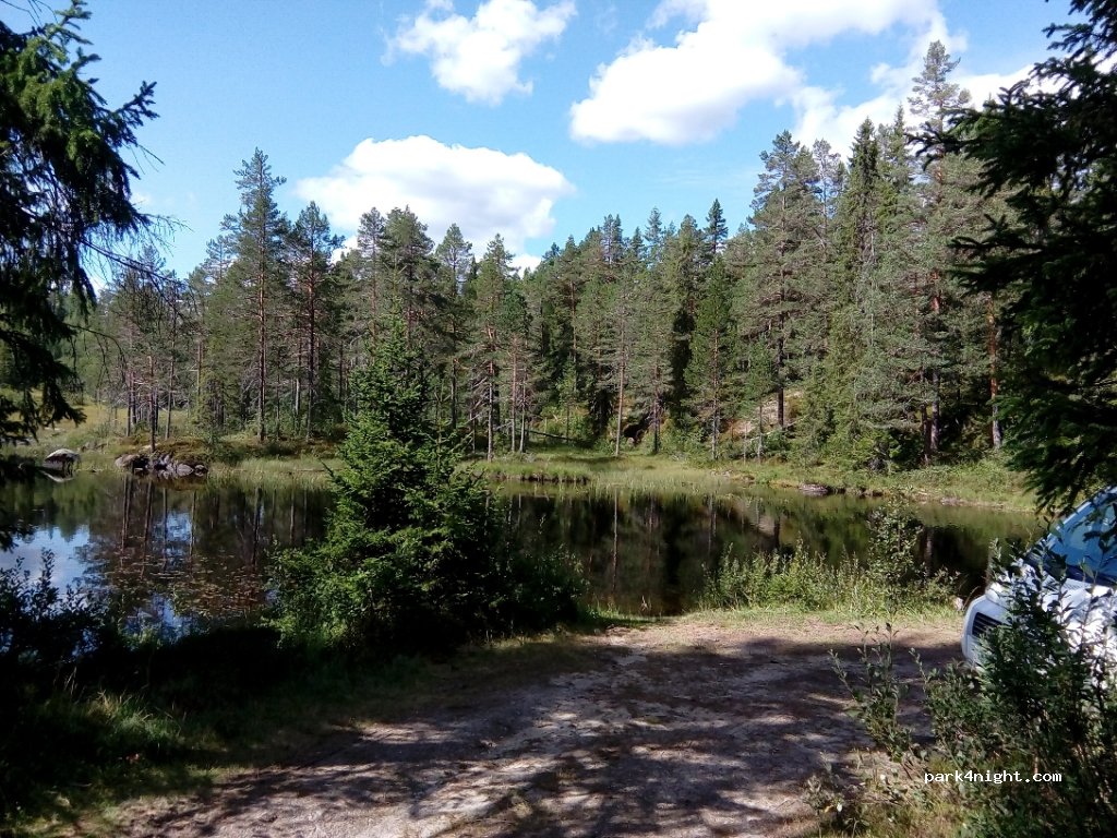 (3882) Tokke - 1169 Skafsåvegen — foto