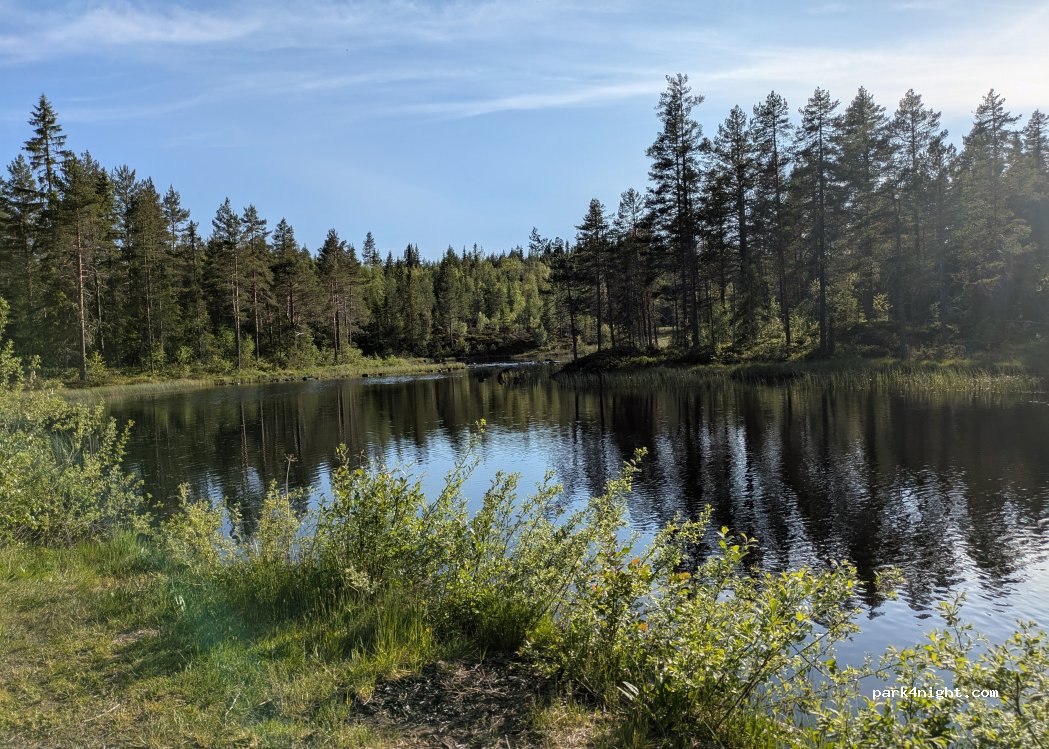 (3882) Tokke - 1169 Skafsåvegen — foto 3