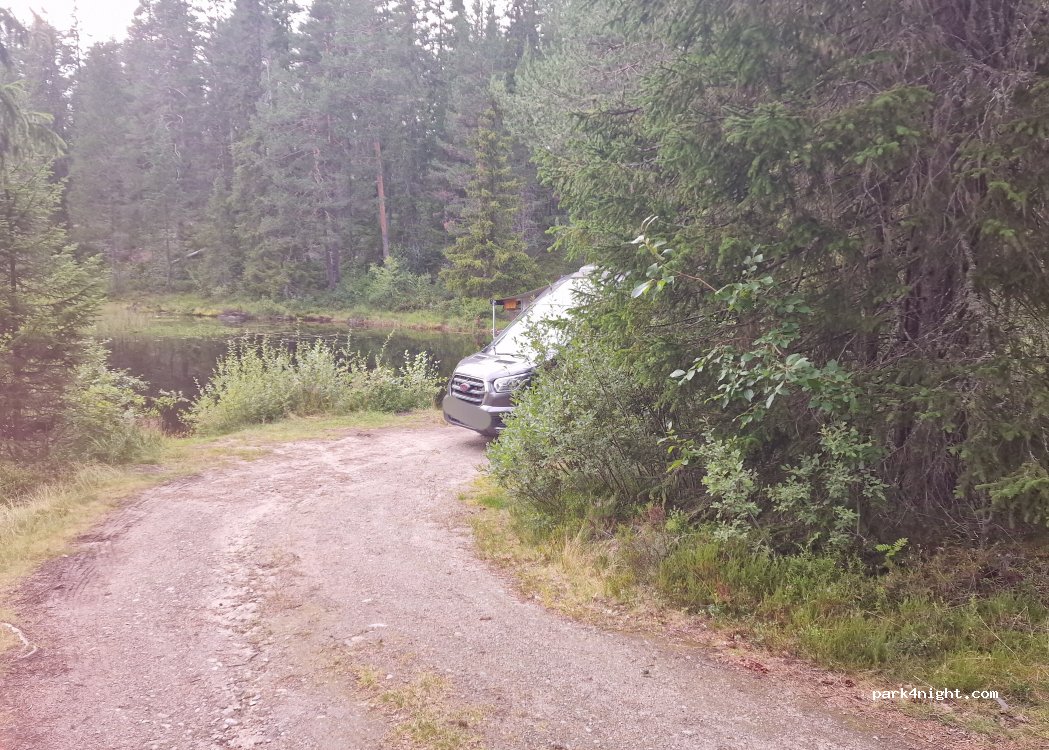 (3882) Tokke - 1169 Skafsåvegen — foto 5