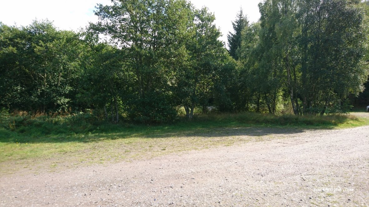 (IV63 6TJ)  - A831 — foto