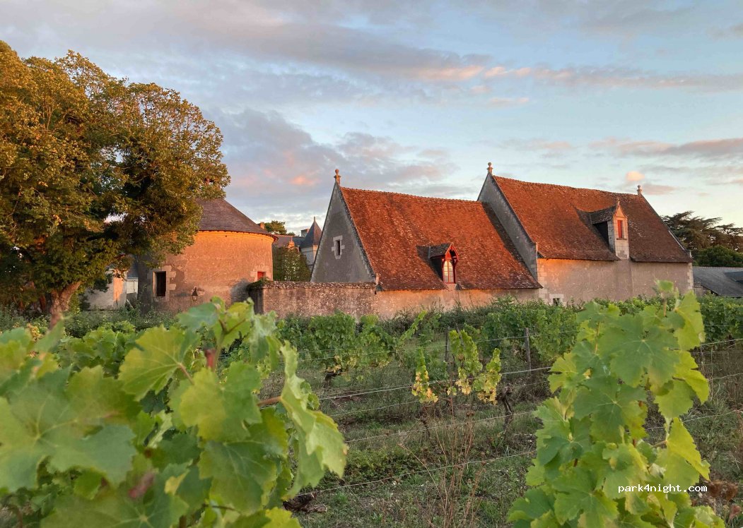 Château de Nitray — foto principale