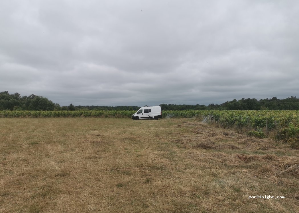 Château de Nitray — foto 4