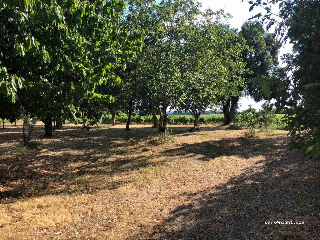 (16200) Sigogne - 30 Rue du Bois de Vaux — foto 2