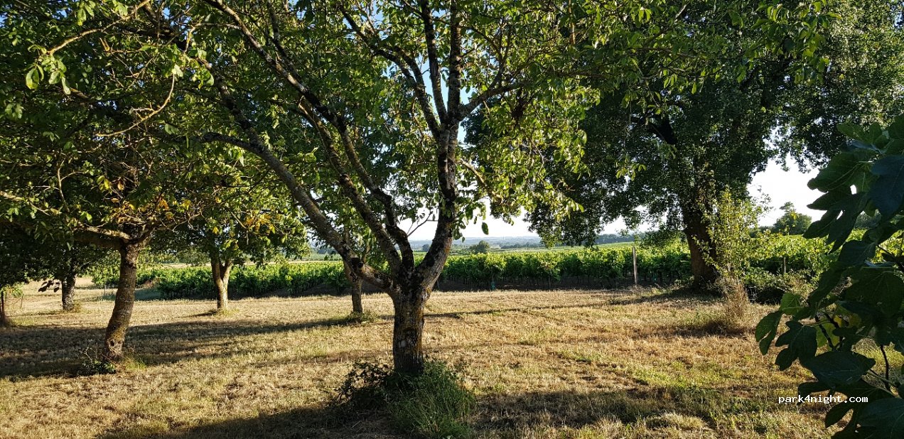 (16200) Sigogne - 30 Rue du Bois de Vaux — foto 3