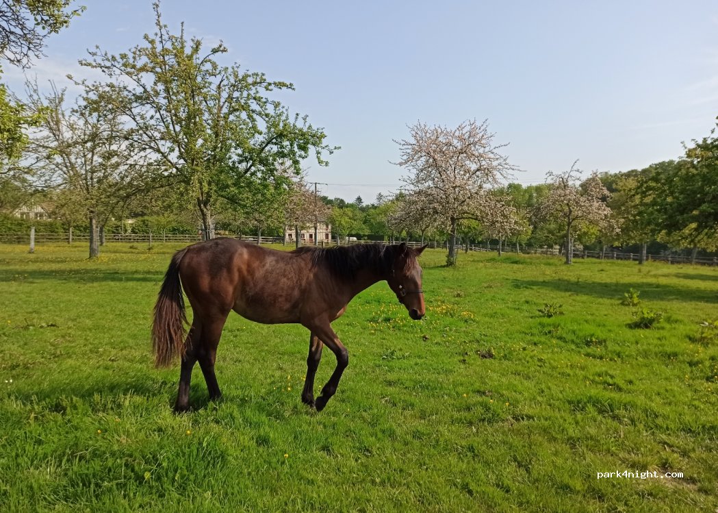 La ferme des Bruyères Carré — foto 3