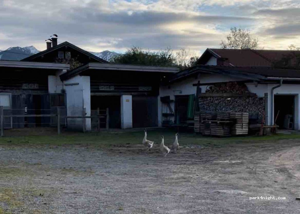 Sonnenkaiser — foto 2