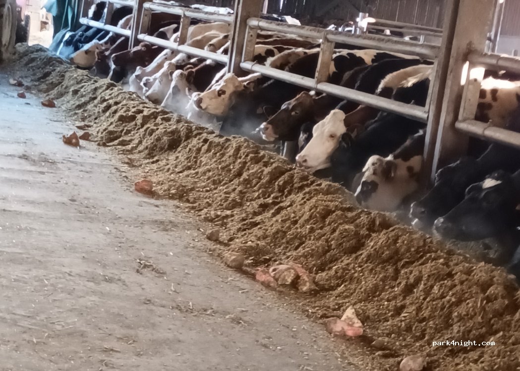 Ferme de la Rouge Fossé — foto 2