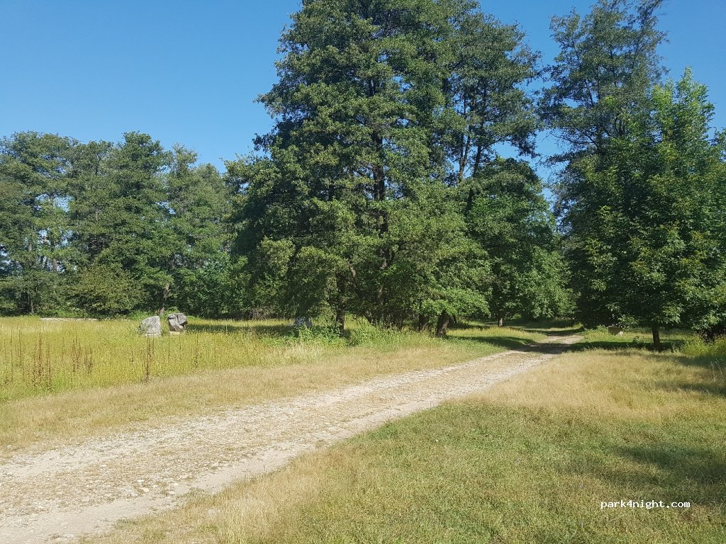 (217335) Hobiţa - DC133 — foto 2