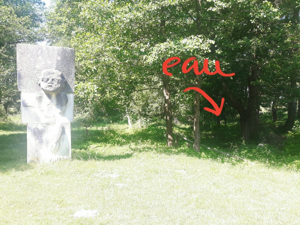 (217335) Hobiţa - DC133 — foto 4