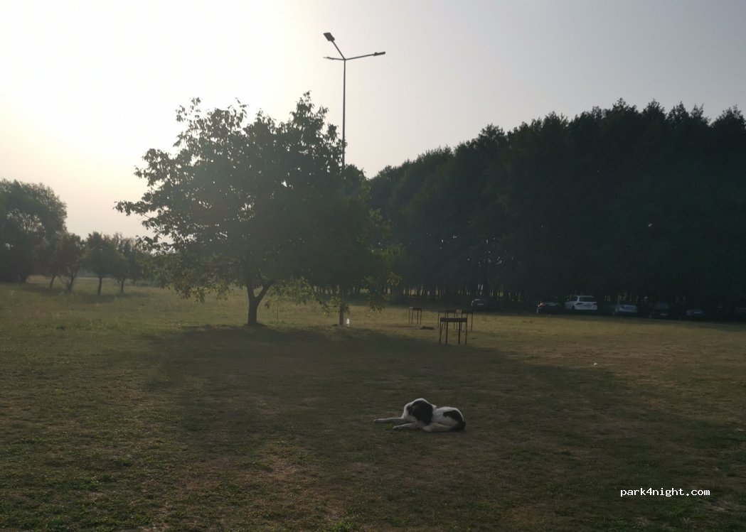 Aprilia Park — foto