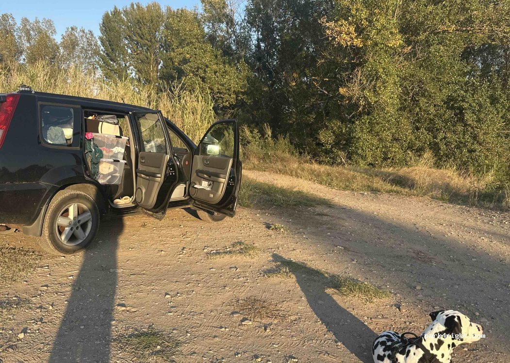 (34490) Thézan-lès-Béziers - Route de Cazouls — foto 5