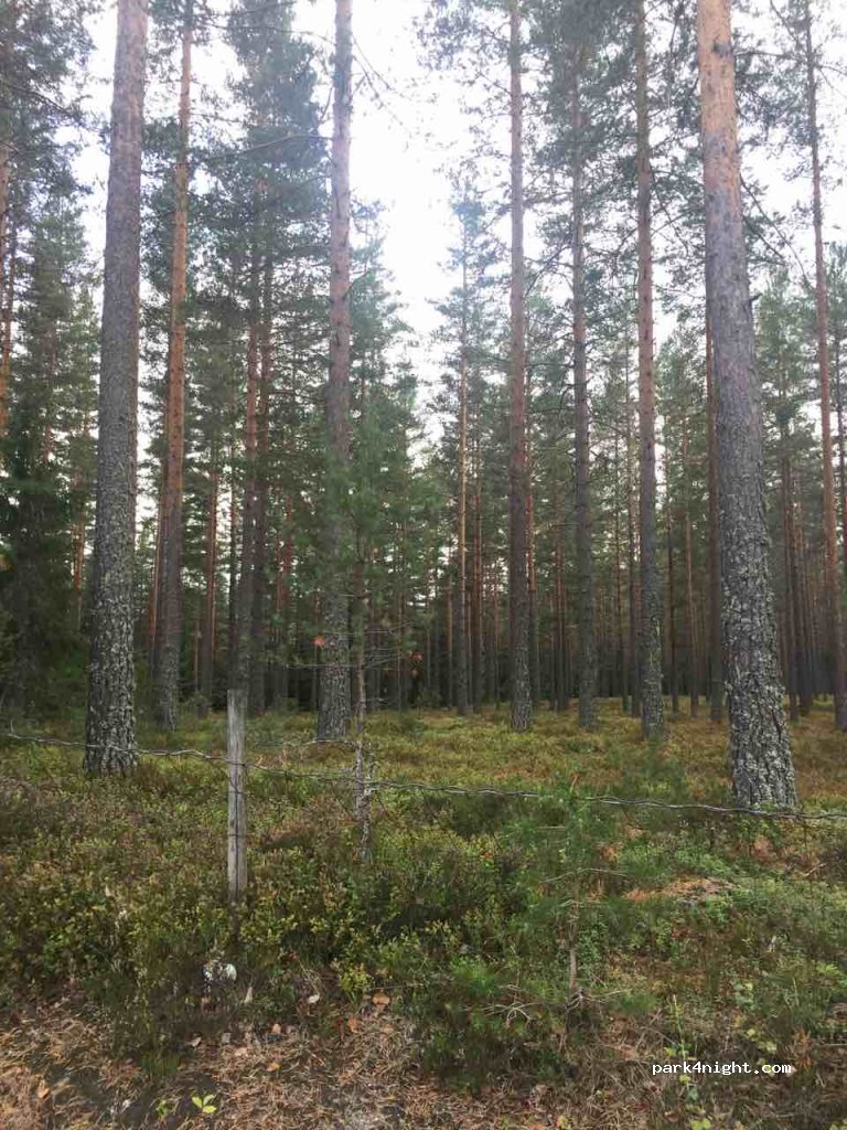 (3620)  - 1 Primær Fylkesveg 40 — foto