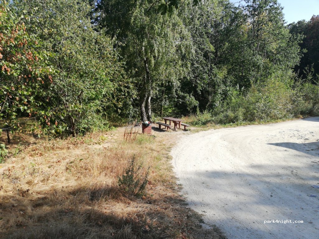 (58) Modliszów - 1A Droga Wojewódzka 379 — foto