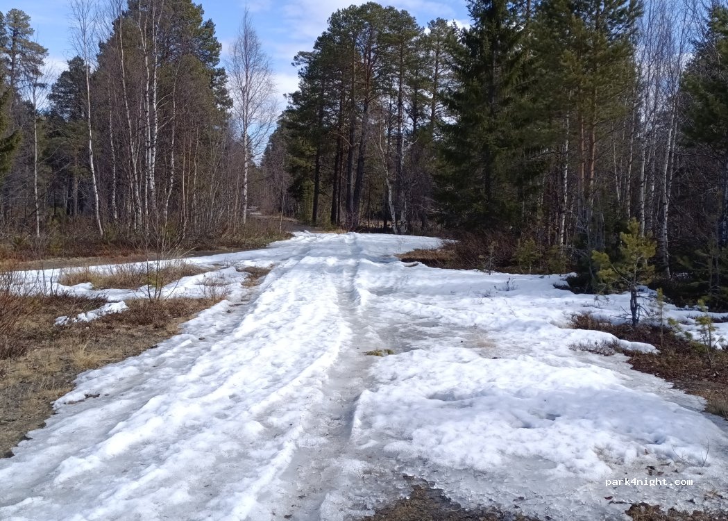 (920 73) Sorsele - Unnamed Road — foto 5